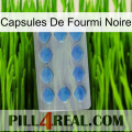 Black Ant Capsules 21